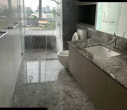 Sky@Eleven (D11), Condominium #357394891